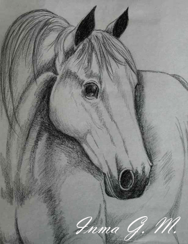 ILUSTRACI&Oacute;N CABALLO